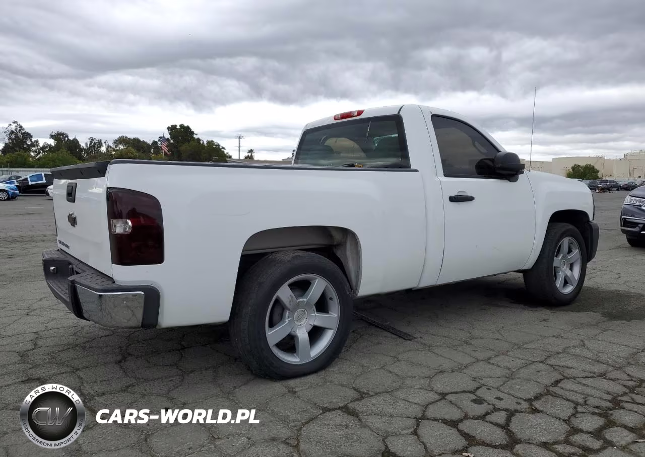 2013 Chevrolet Silverado C1500 VIN:1GCNCPEX0DZ180724 - 3