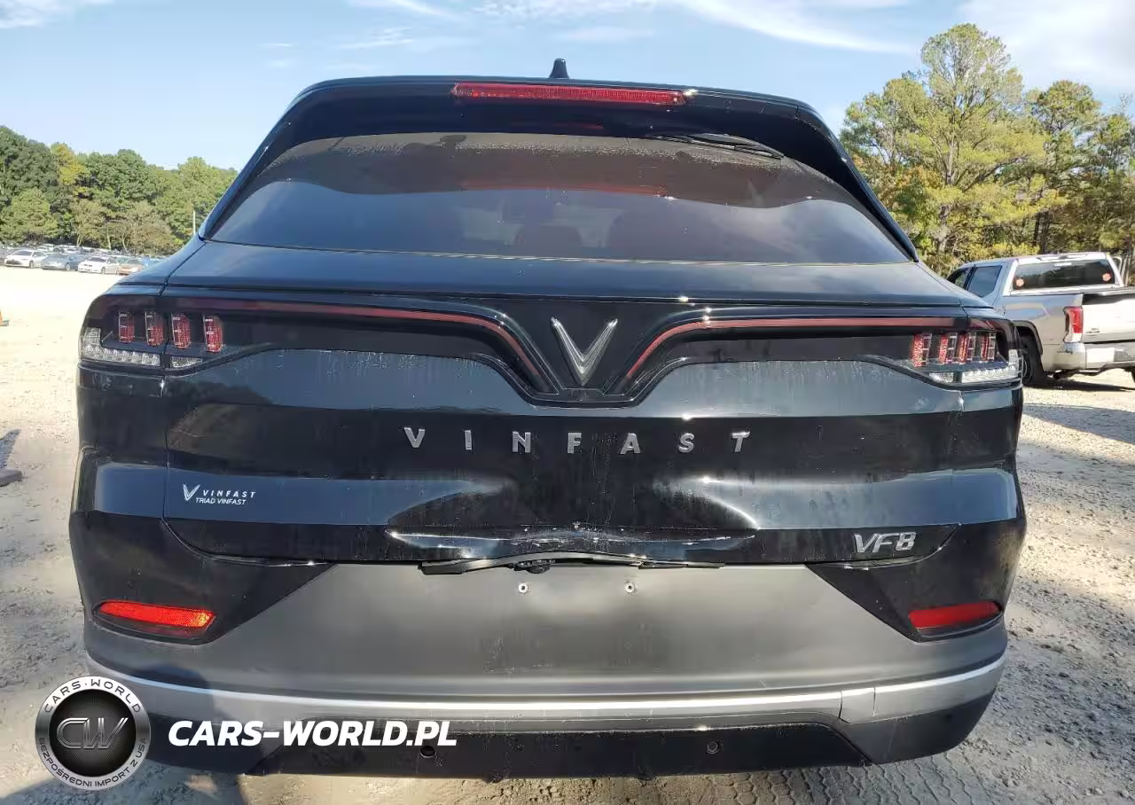 2024 Vinfast Trading And Production Llc Vf 8 Eco VIN:RLLV1AEB9RH004376 - 6