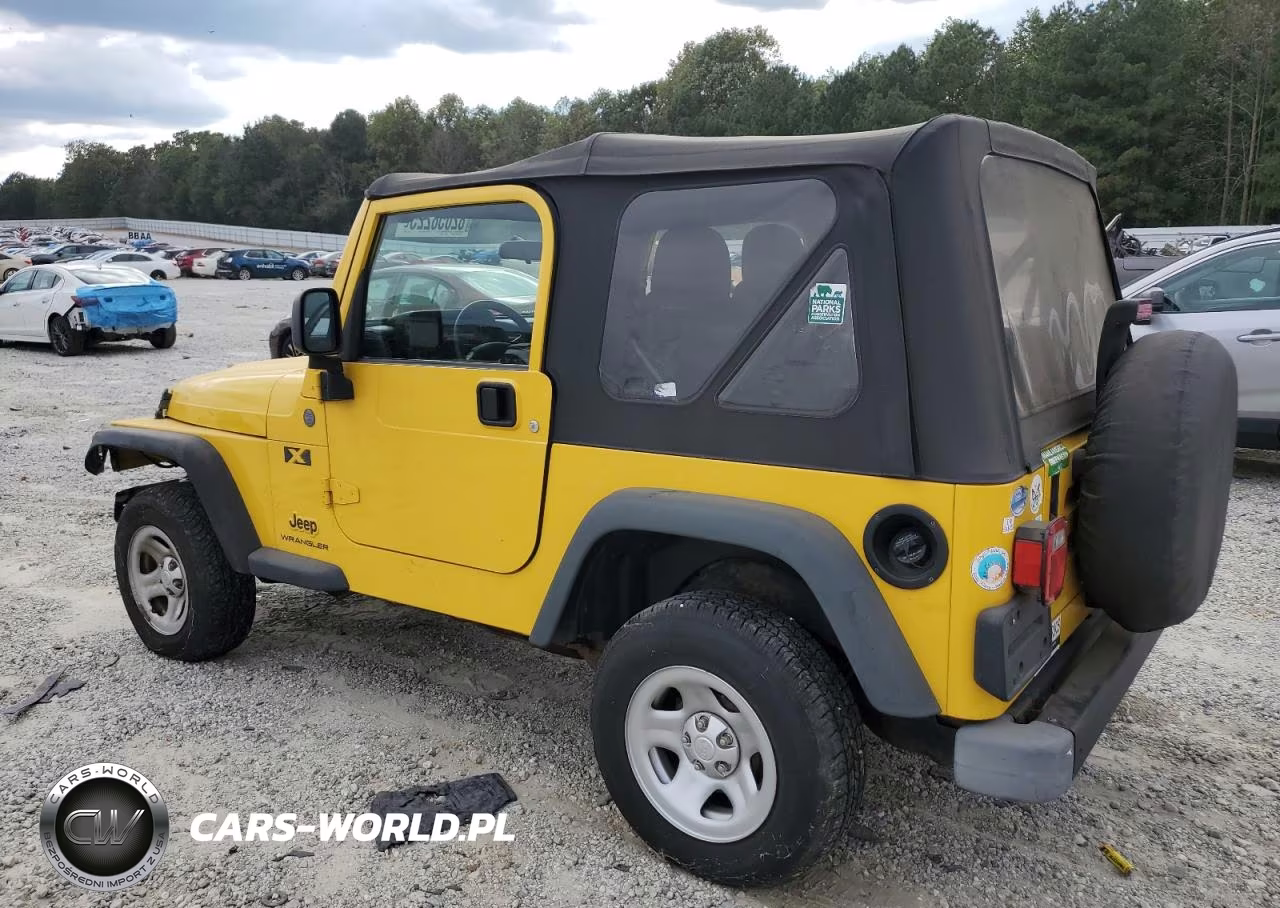 2004 Jeep Wrangler X VIN:1J4FA39SX4P746458 - 2
