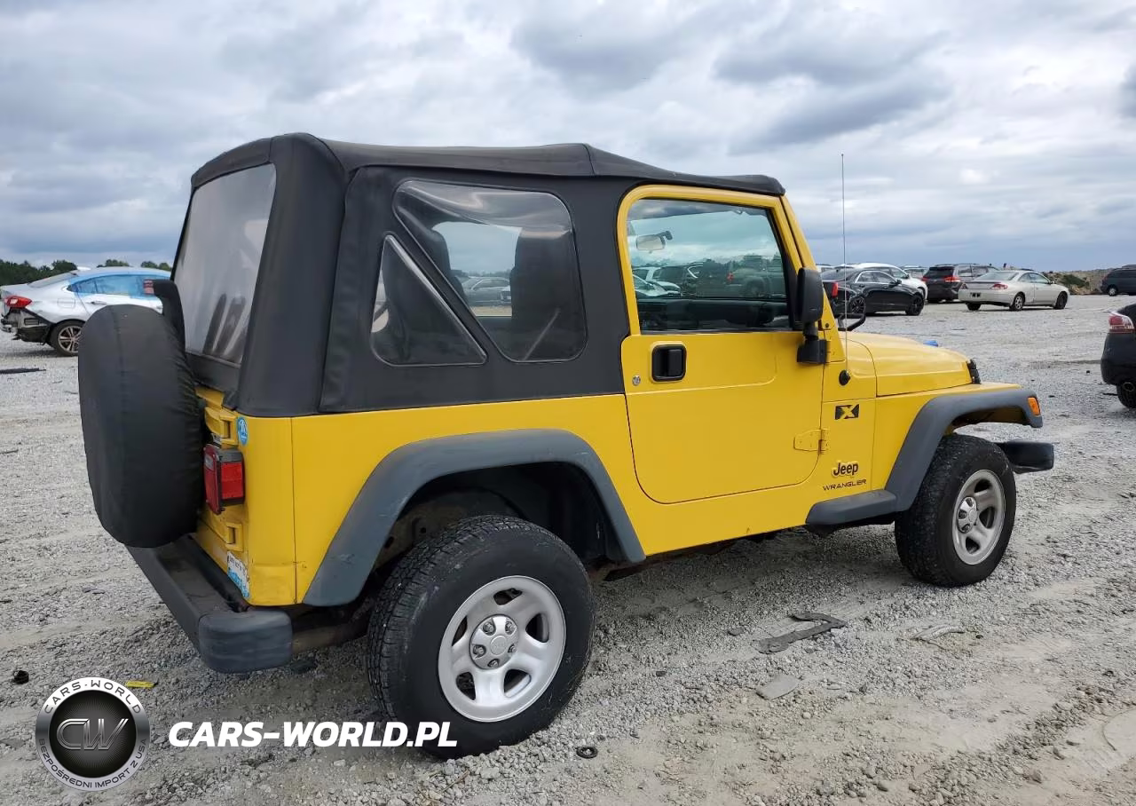 2004 Jeep Wrangler X VIN:1J4FA39SX4P746458 - 3