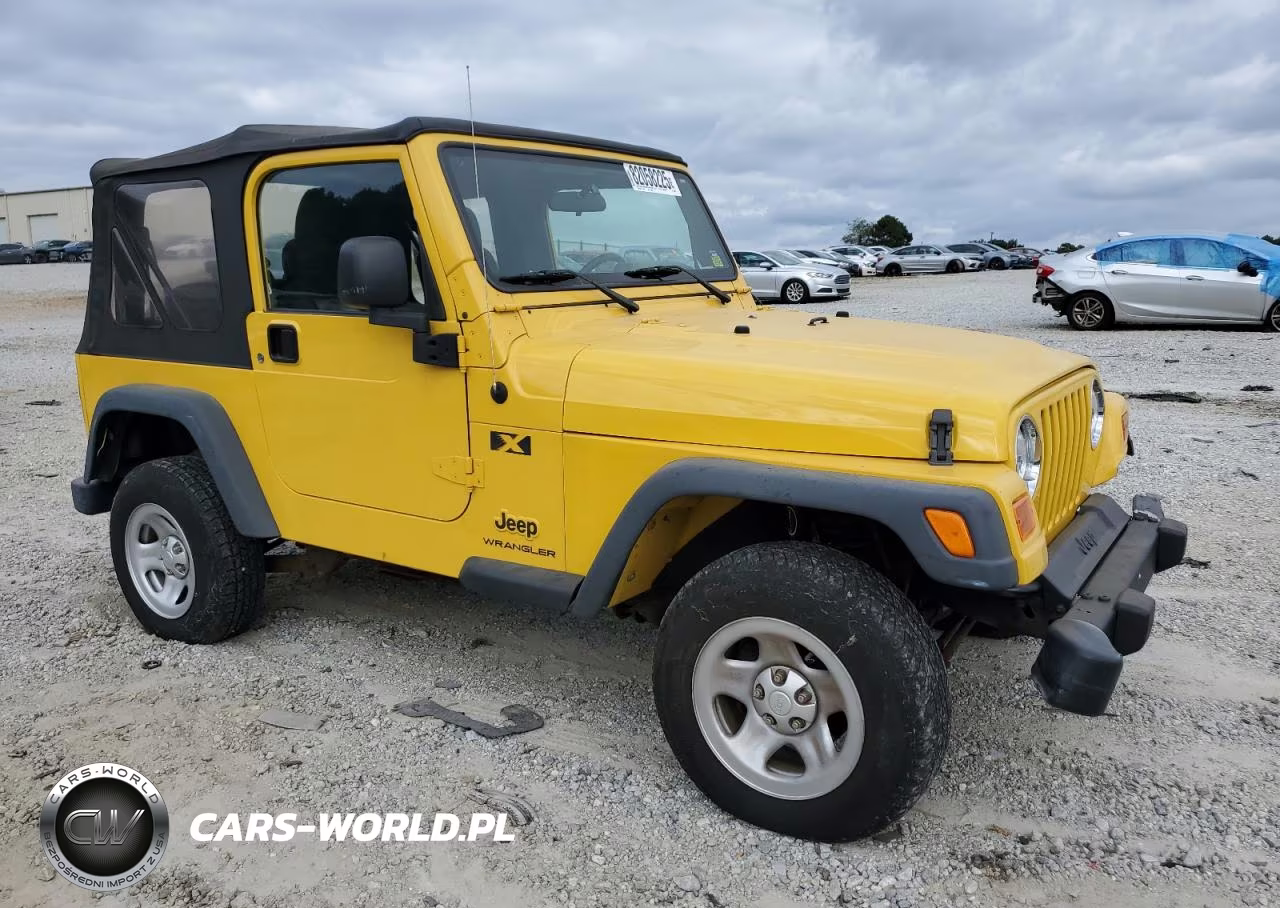 2004 Jeep Wrangler X VIN:1J4FA39SX4P746458 - 4