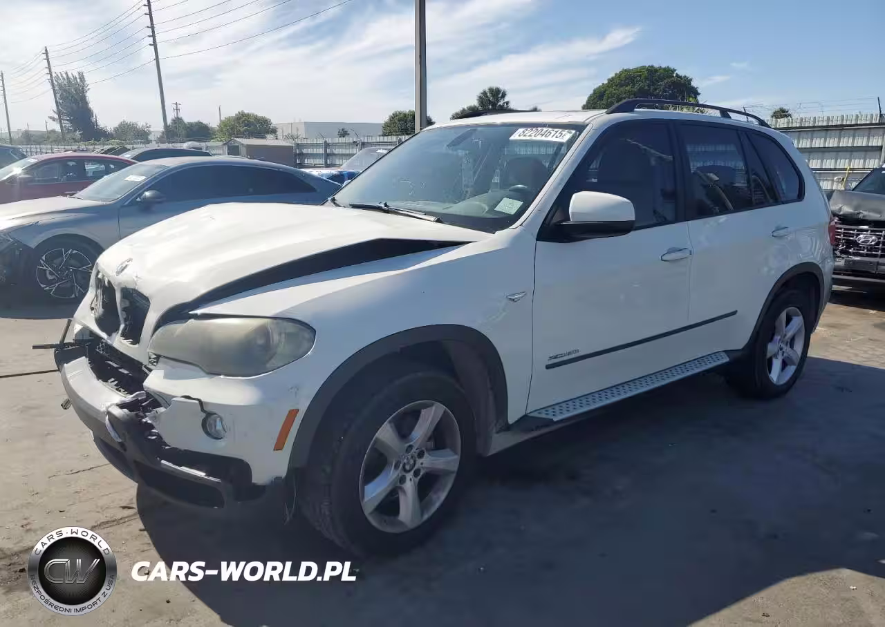 2010 BMW X5 xDrive30I