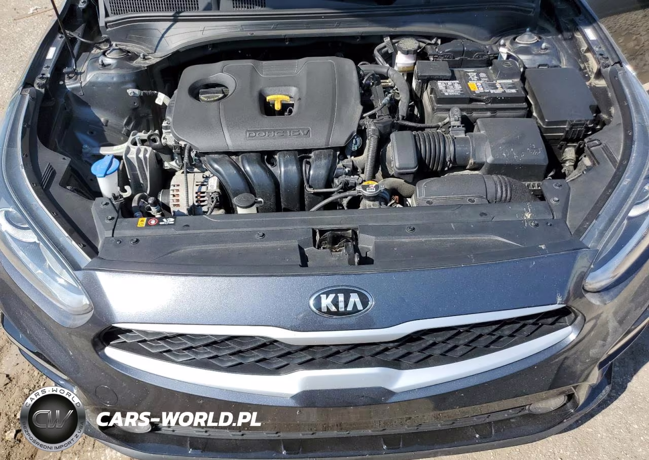 KIA FORTE FE VIN:3KPF24AD6ME377992 - 11