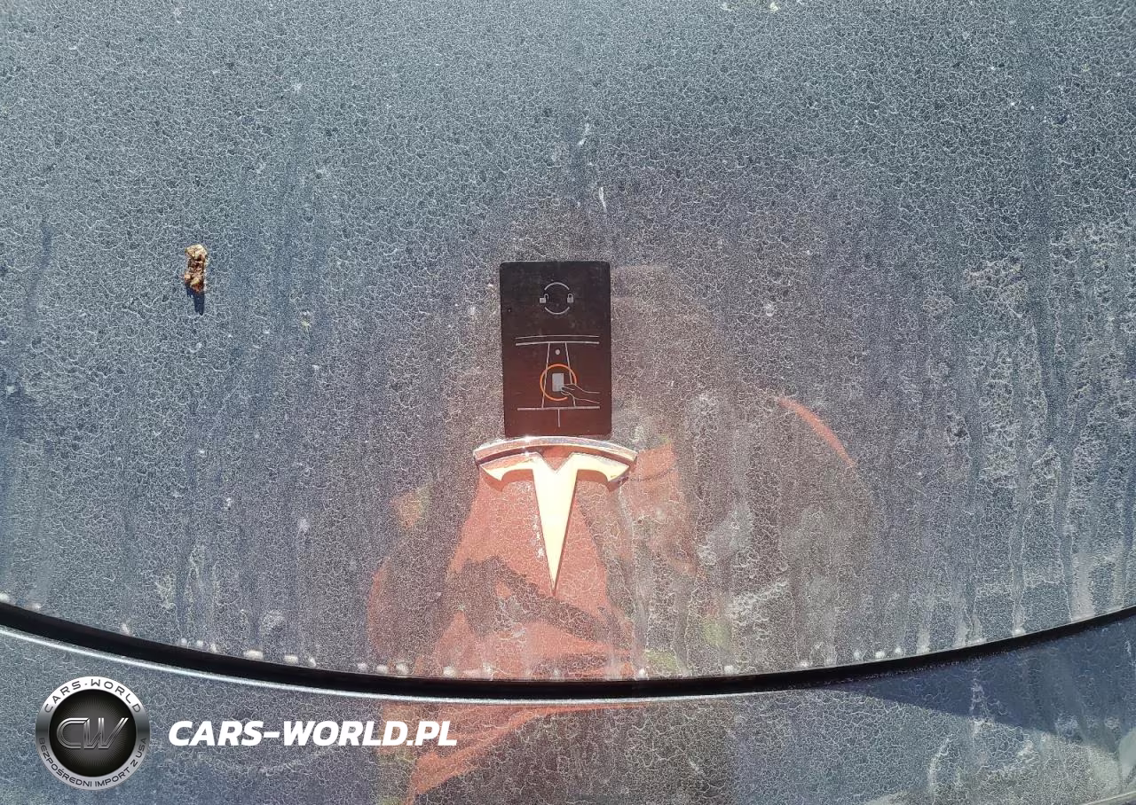 2022 Tesla Model Y VIN:7SAYGDEEXNF368353 - 12