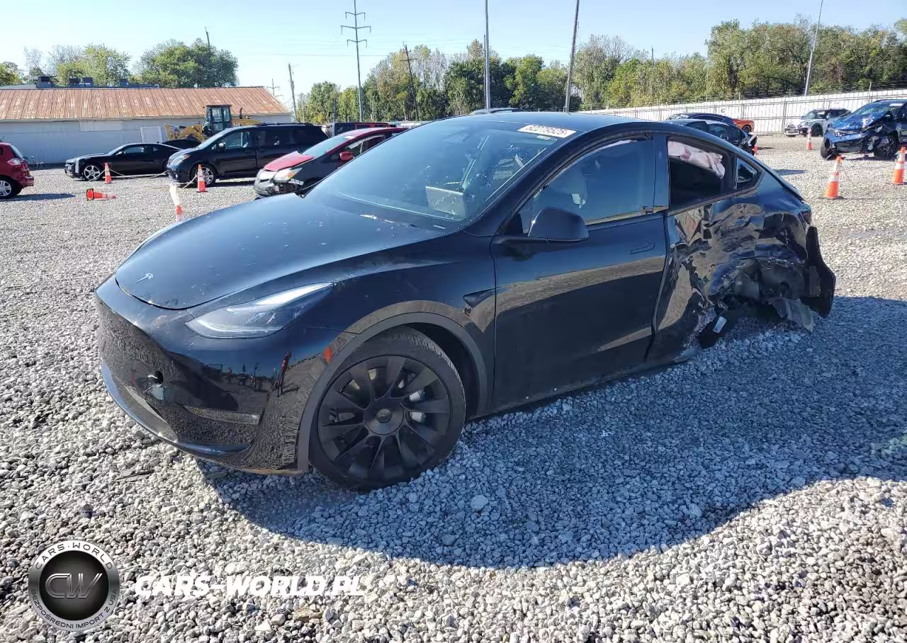 2024 Tesla Model Y