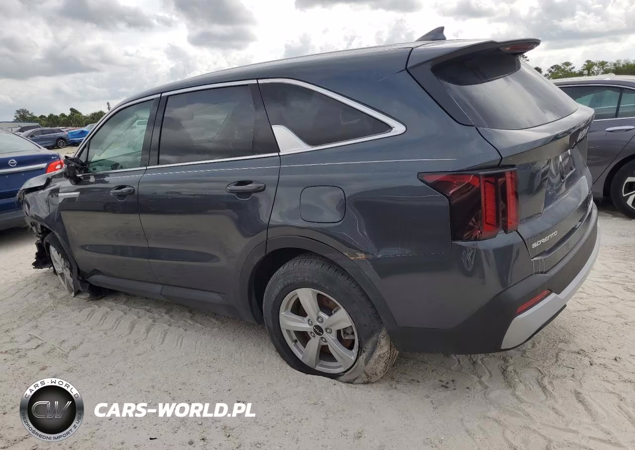 2024 Kia Sorento Lx VIN:5XYRG4JC6RG299875 - 2