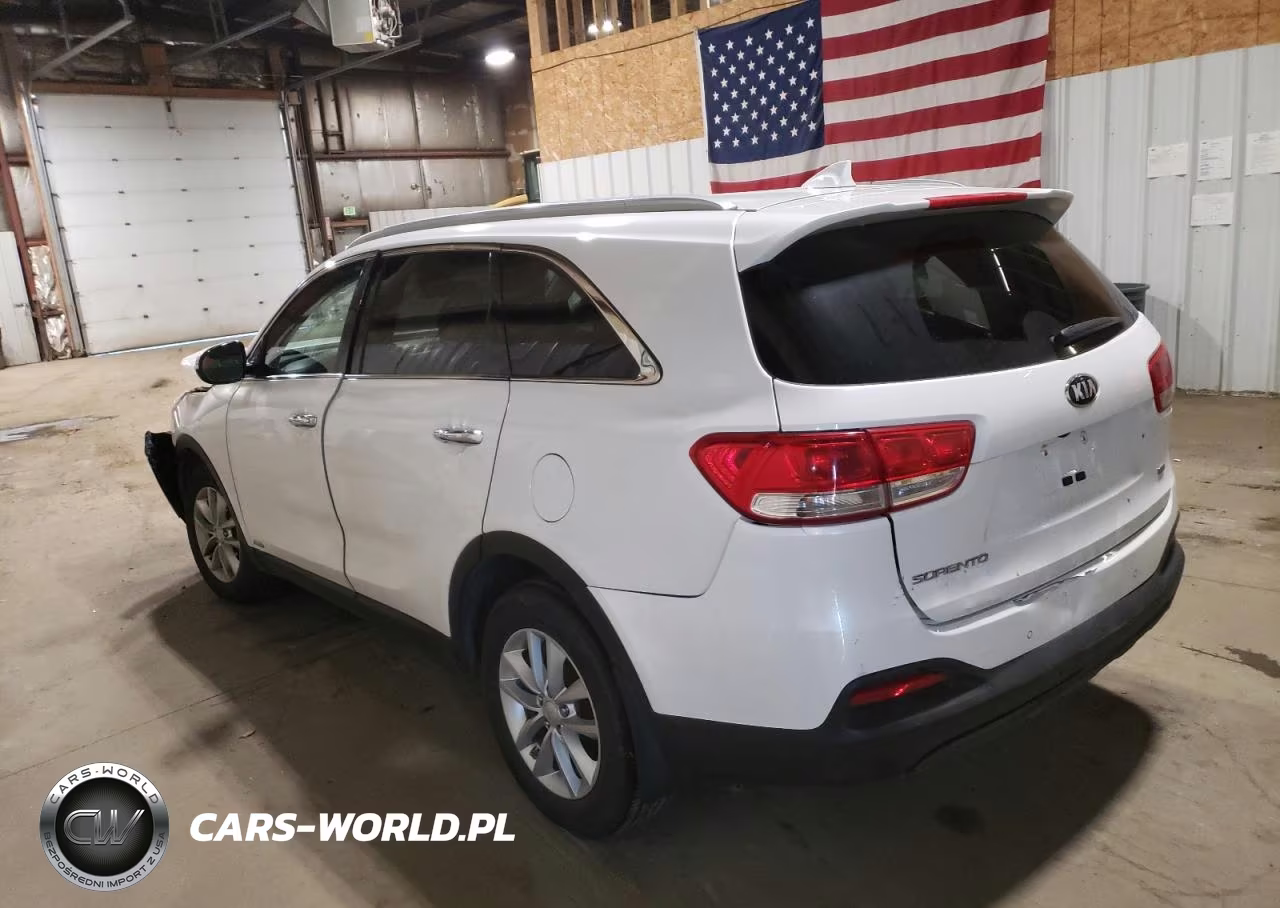 2017 Kia Sorento Lx VIN:5XYPGDA34HG246677 - 2