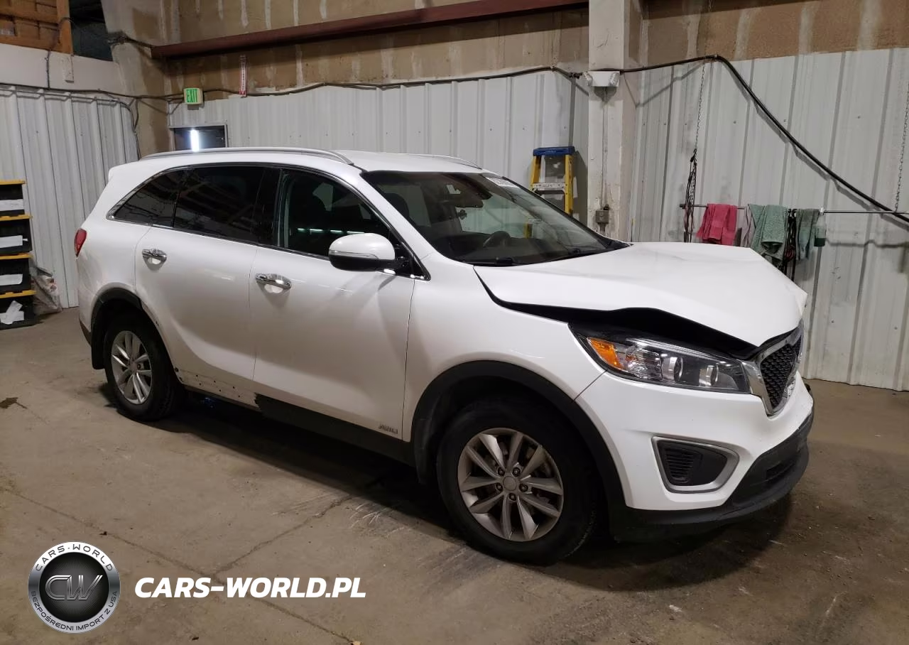 2017 Kia Sorento Lx VIN:5XYPGDA34HG246677 - 4