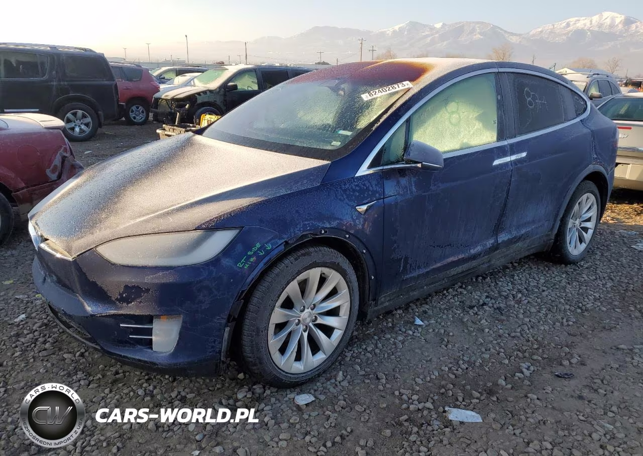 2018 Tesla Model X