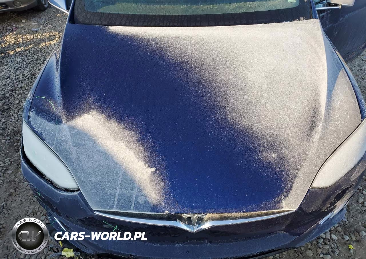 2018 Tesla Model X VIN:5YJXCDE20JF089465 - 11