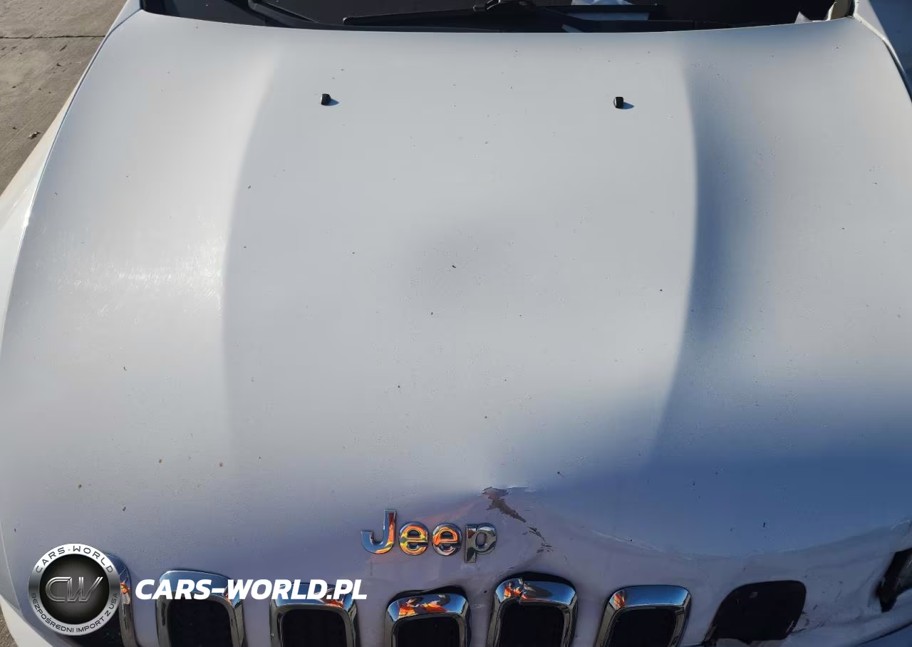 2016 Jeep Cherokee Latitude VIN:1C4PJLCB9GW373927 - 11