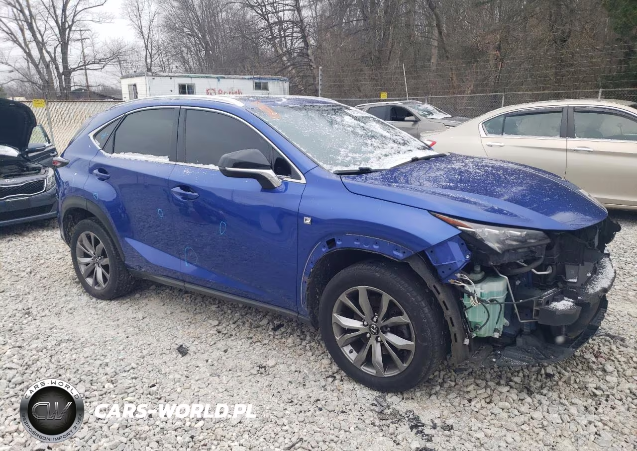 2016 Lexus Nx 200T Base VIN:JTJYARBZ0G2028604 - 4