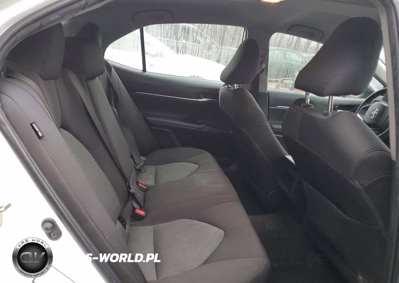 2020 Toyota Camry Le VIN:4T1C11AK6LU316754 - 10