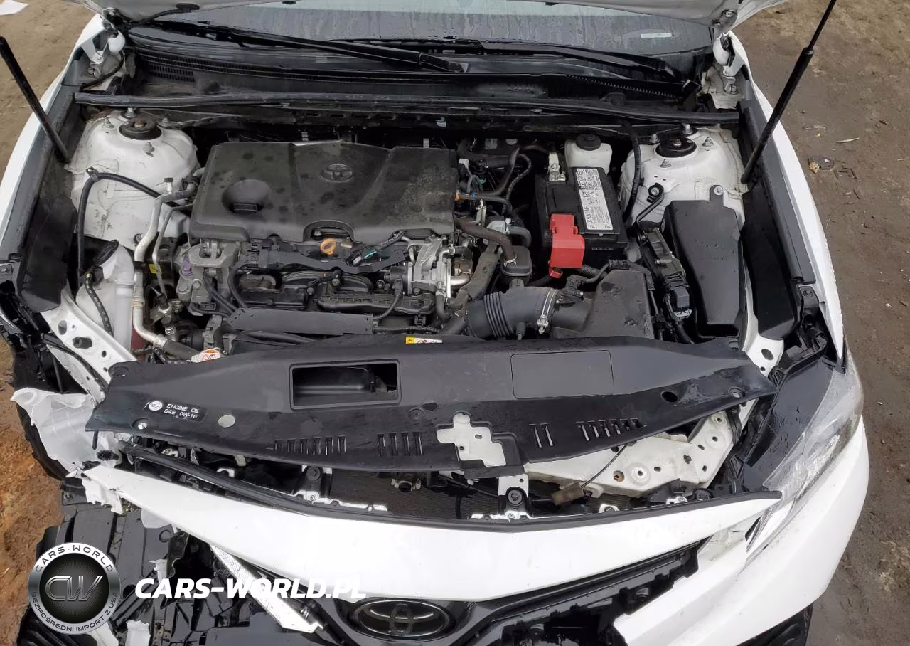 2020 Toyota Camry Le VIN:4T1C11AK6LU316754 - 11
