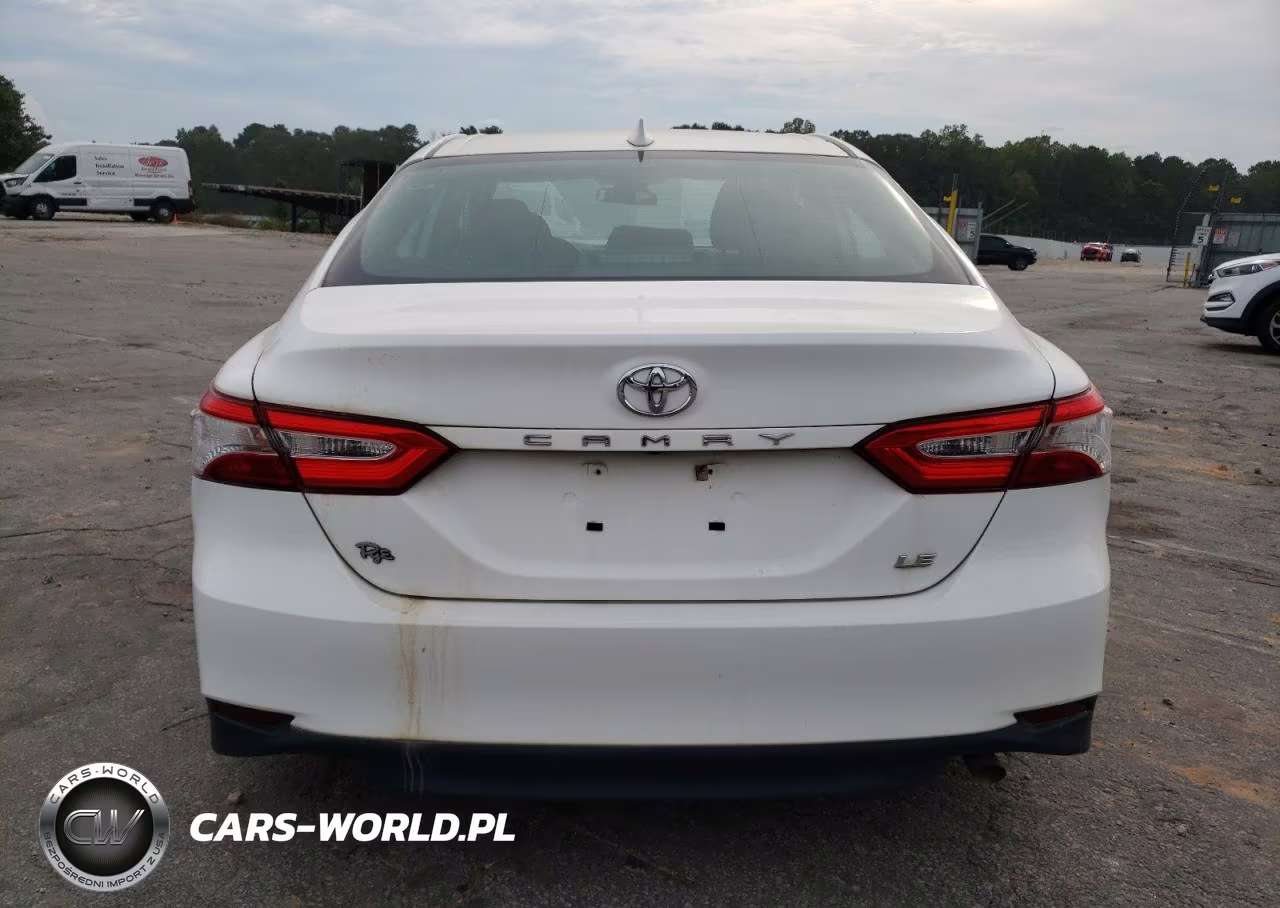 2020 Toyota Camry Le VIN:4T1C11AK6LU316754 - 6