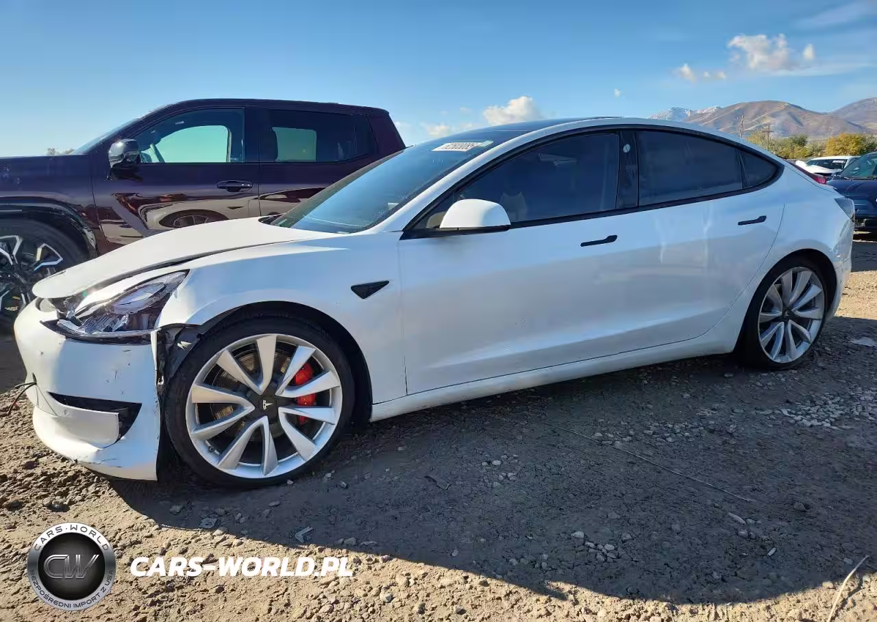 2019 Tesla Model 3