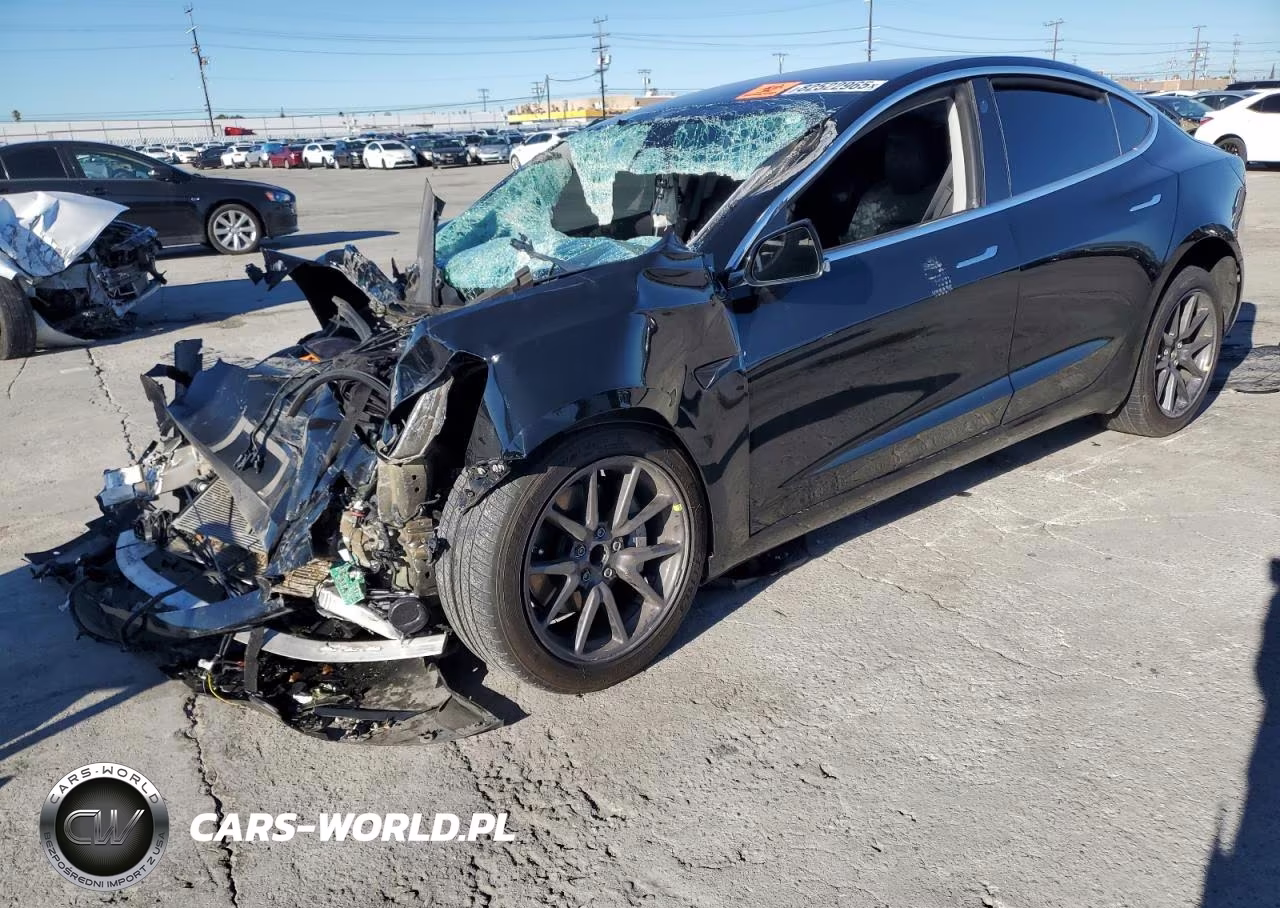 2019 Tesla Model 3