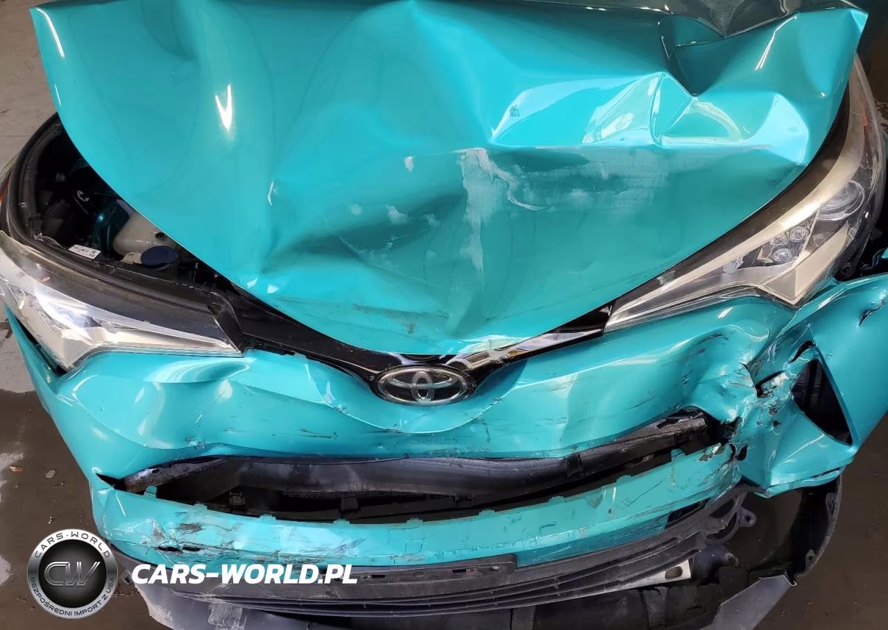2018 Toyota C-Hr Xle Premium VIN:NMTKHMBX9JR028069 - 12