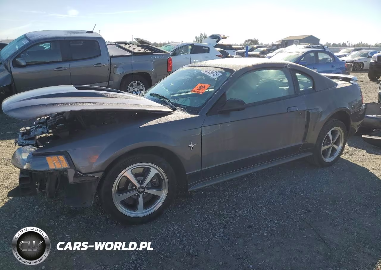 2003 Ford Mustang Mach I