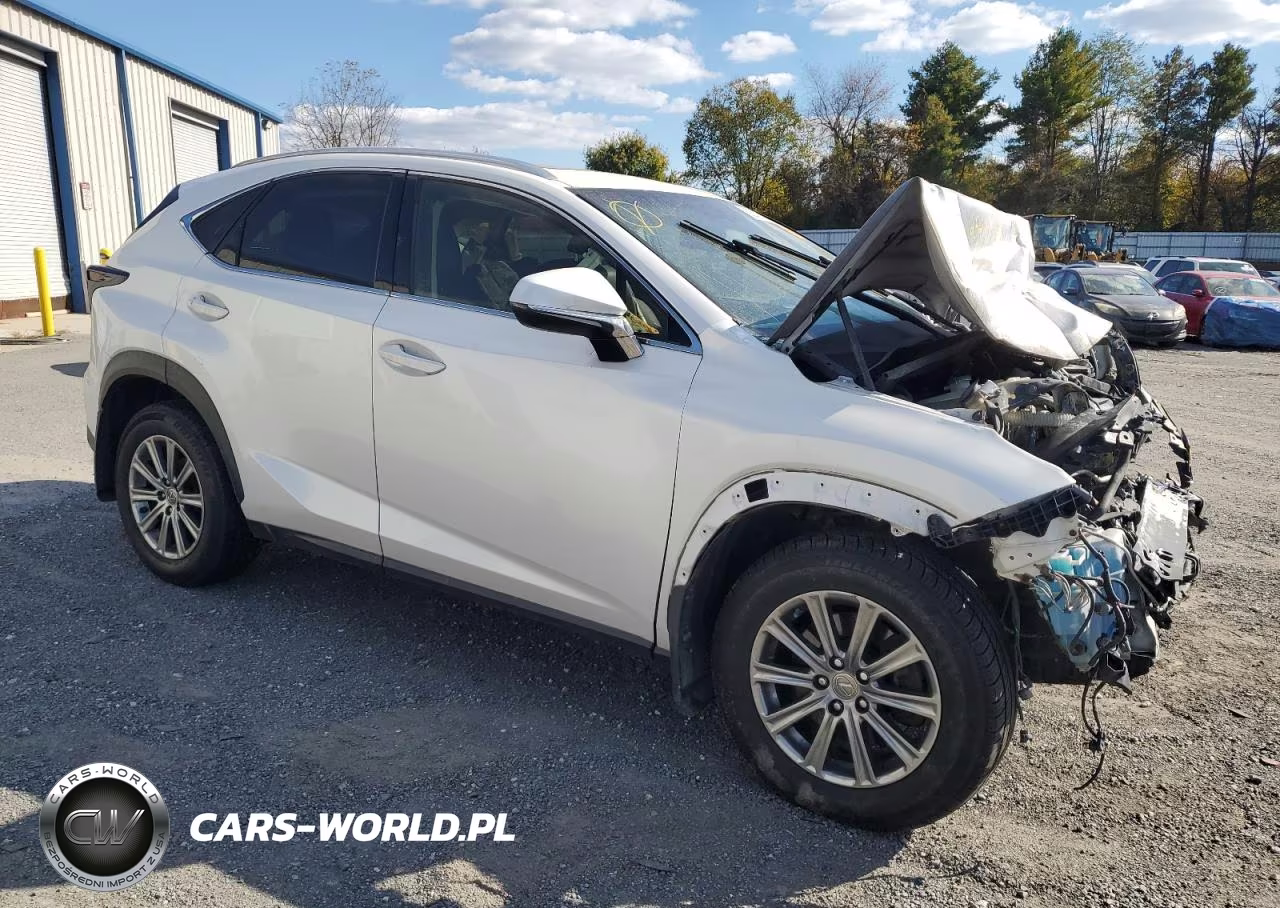 2016 Lexus Nx 200T Base VIN:JTJBARBZ4G2048490 - 4