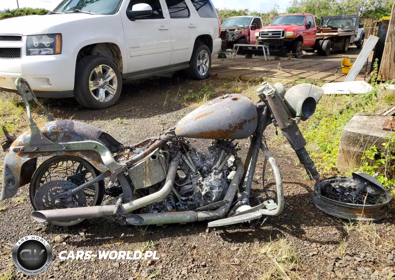 2004 Harley-Davidson Flstci