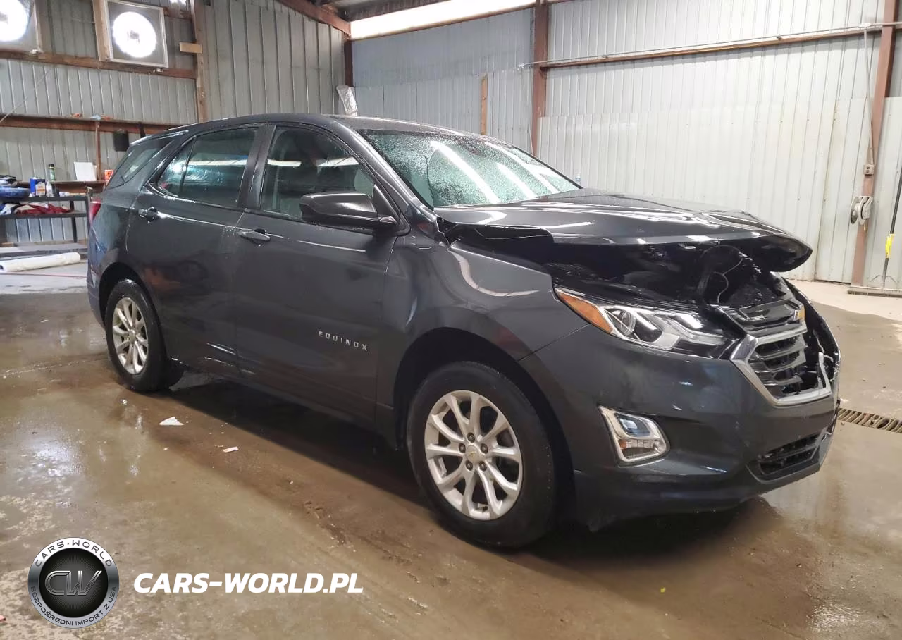 2020 Chevrolet Equinox Ls VIN:2GNAXSEV1L6150069 - 4
