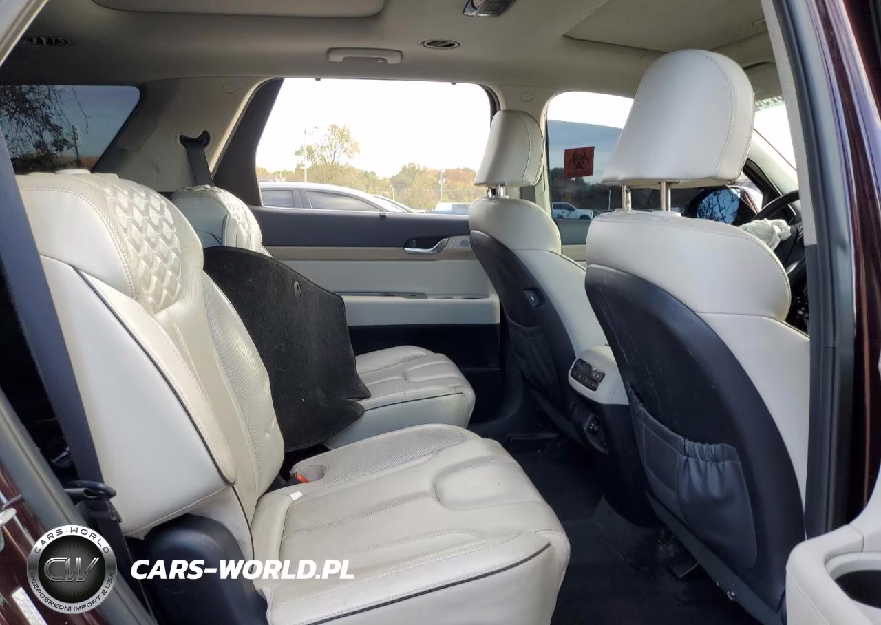 2021 Hyundai Palisade Limited VIN:KM8R5DHE1MU250051 - 11