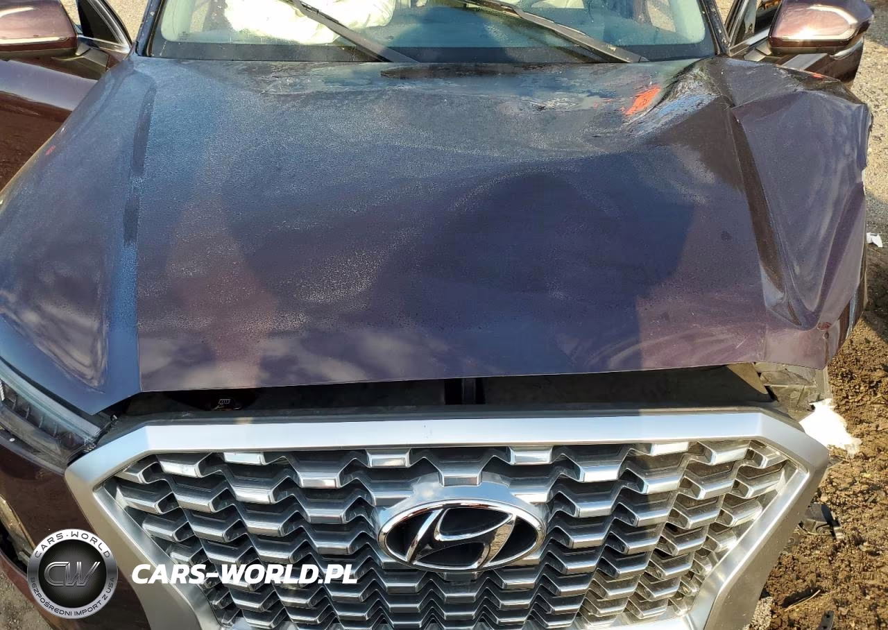 2021 Hyundai Palisade Limited VIN:KM8R5DHE1MU250051 - 12