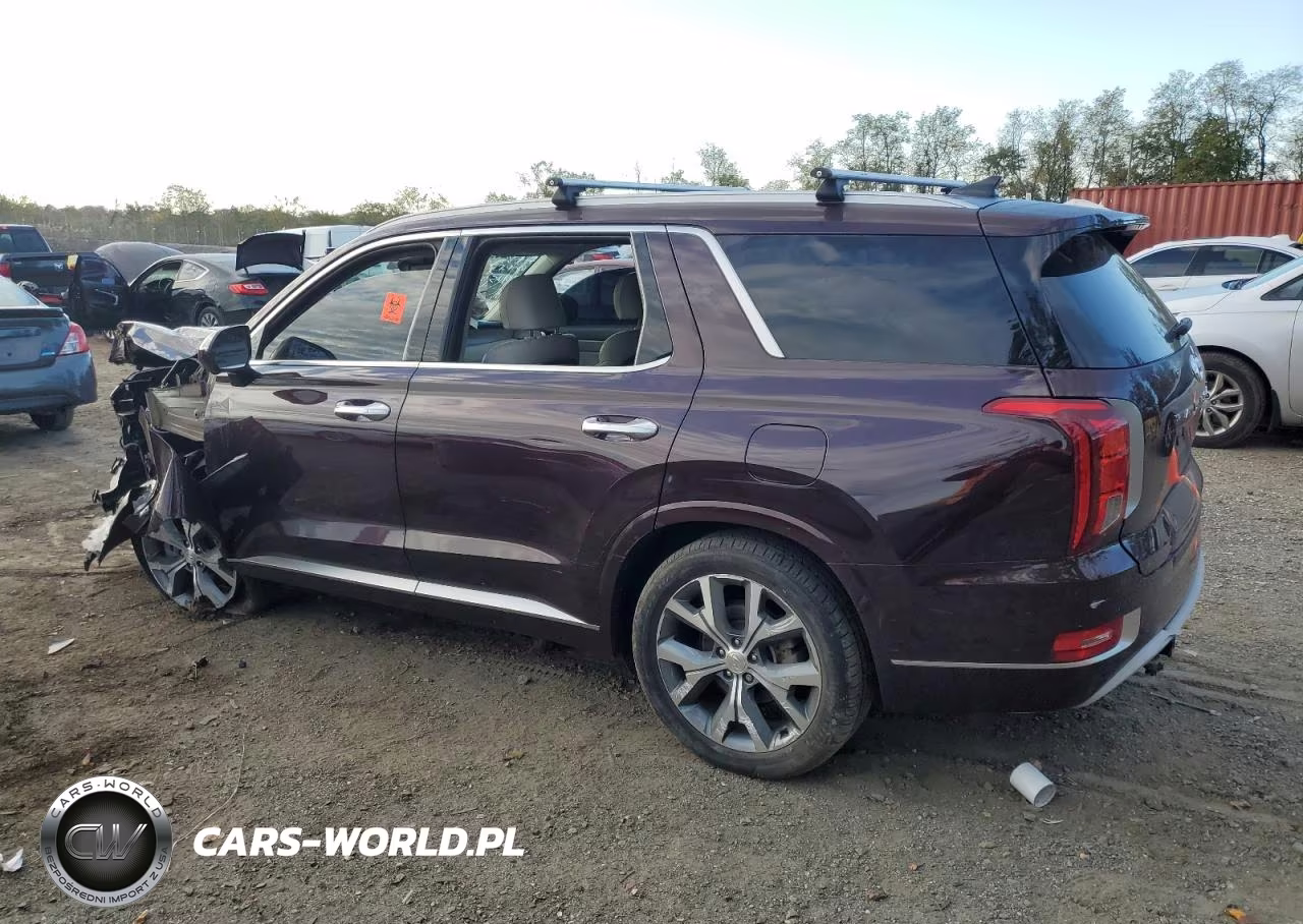 2021 Hyundai Palisade Limited VIN:KM8R5DHE1MU250051 - 2