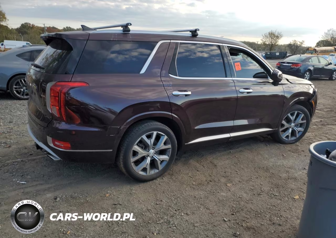 2021 Hyundai Palisade Limited VIN:KM8R5DHE1MU250051 - 3