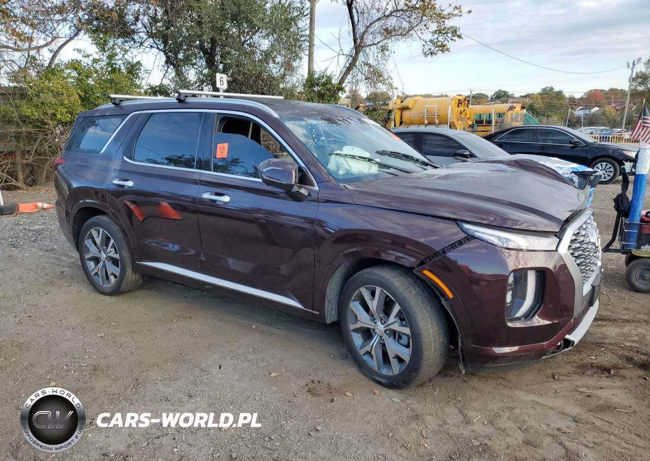 2021 Hyundai Palisade Limited VIN:KM8R5DHE1MU250051 - 4