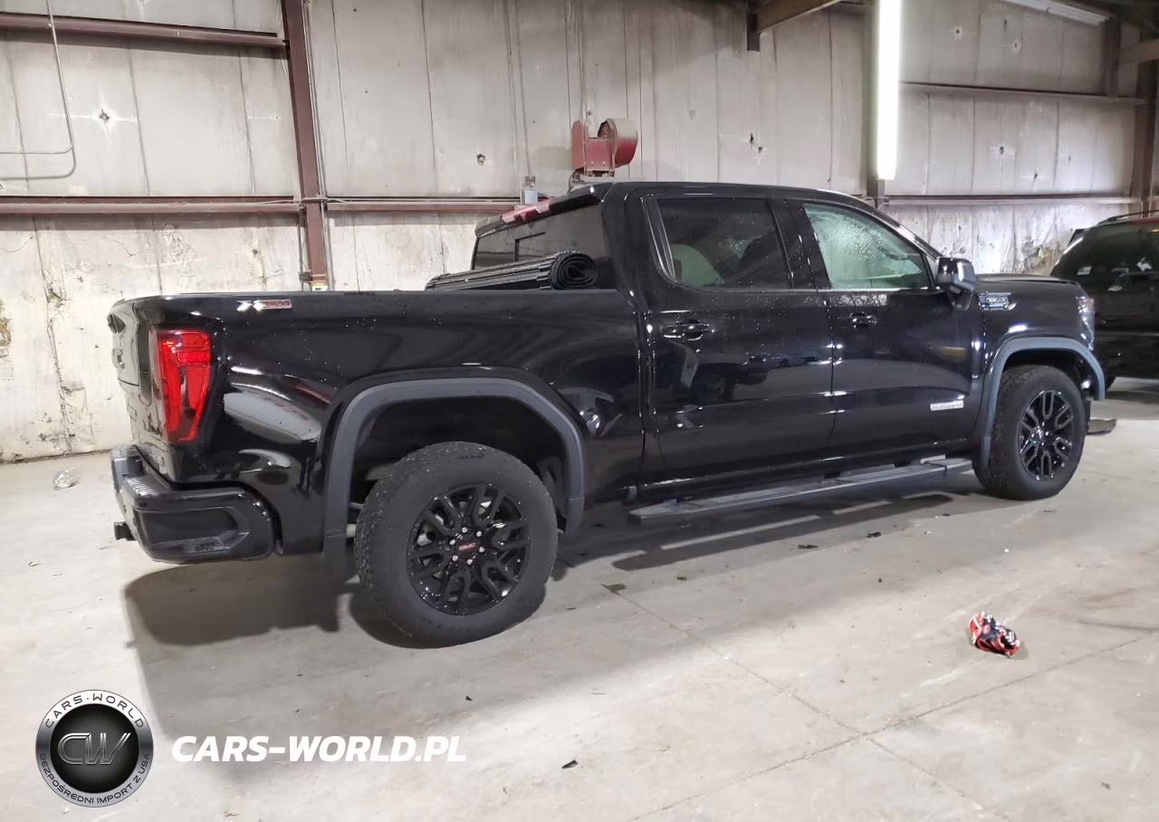 2025 GMC Sierra K1500 Elevation VIN:3GTUUCED6SG159638 - 3