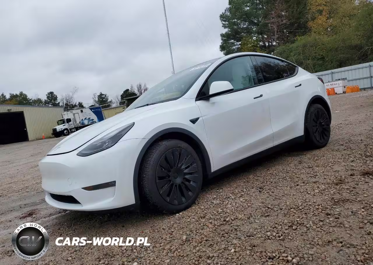 2024 Tesla Model Y