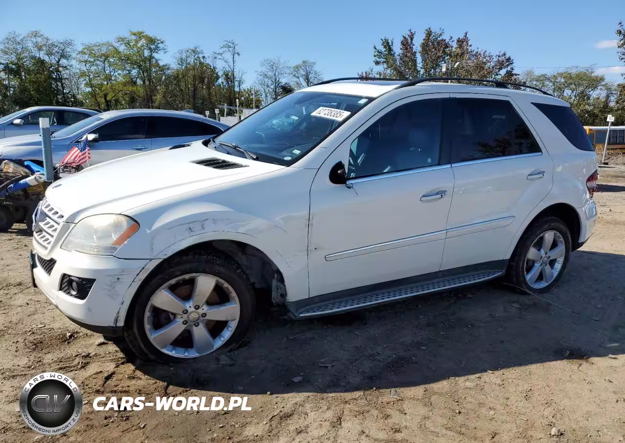 2010 Mercedes-Benz Ml 350 4Matic