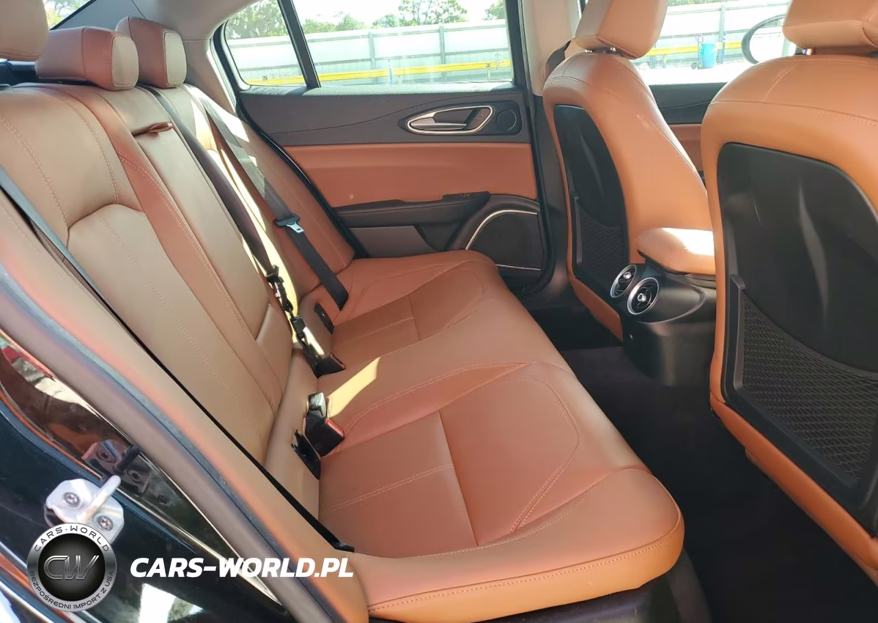 2019 Alfa Romeo Giulia VIN:ZARFAMAN8K7598220 - 10