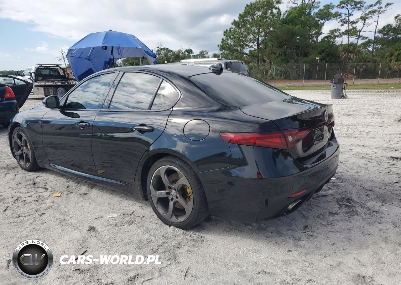 2019 Alfa Romeo Giulia VIN:ZARFAMAN8K7598220 - 2
