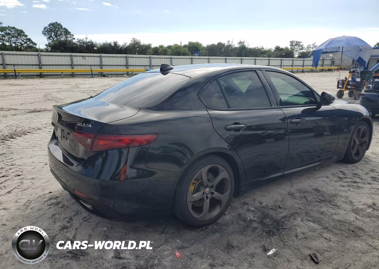 2019 Alfa Romeo Giulia VIN:ZARFAMAN8K7598220 - 3