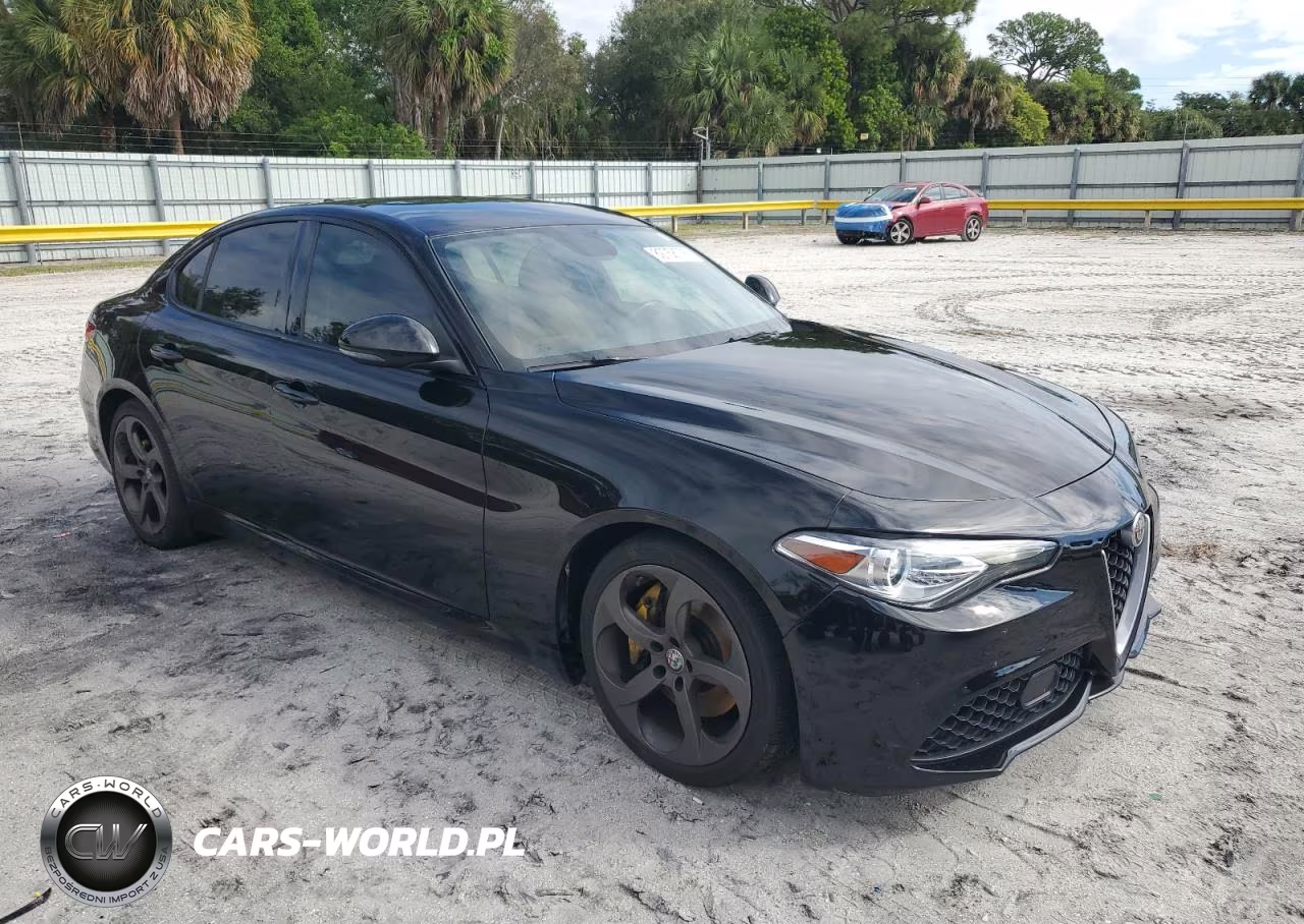2019 Alfa Romeo Giulia VIN:ZARFAMAN8K7598220 - 4