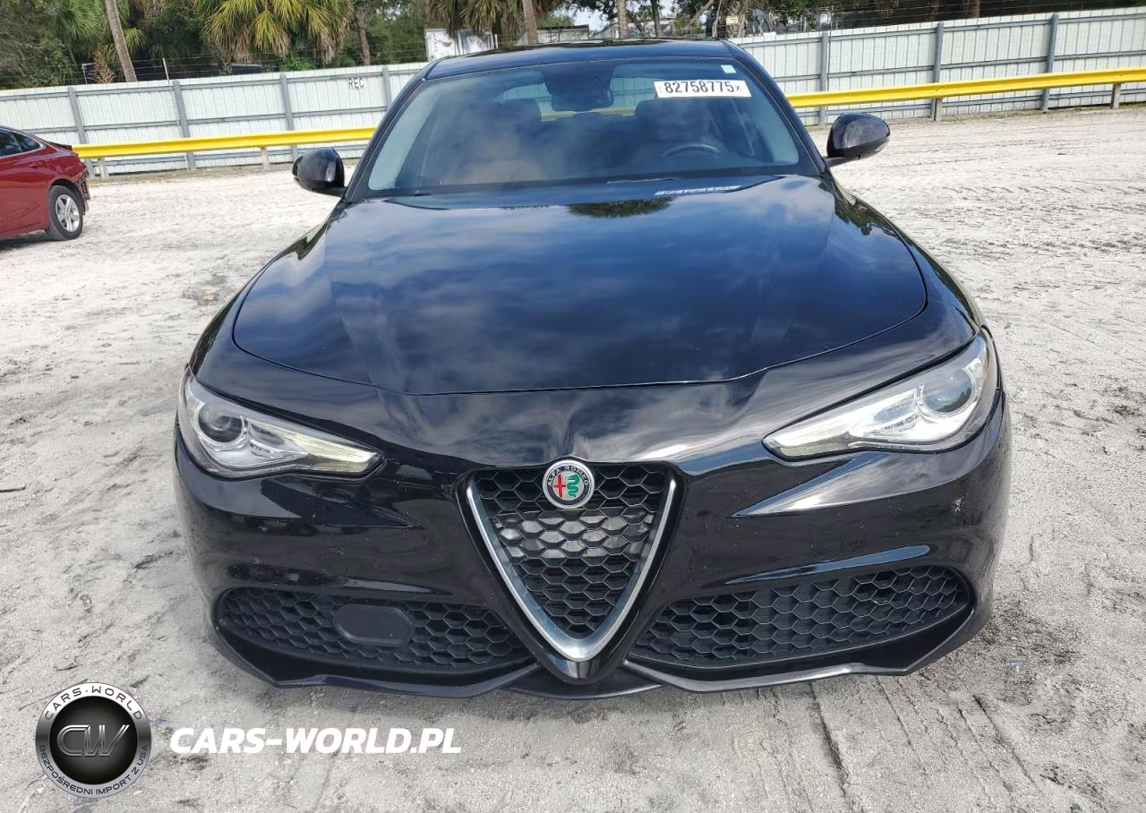 2019 Alfa Romeo Giulia VIN:ZARFAMAN8K7598220 - 5