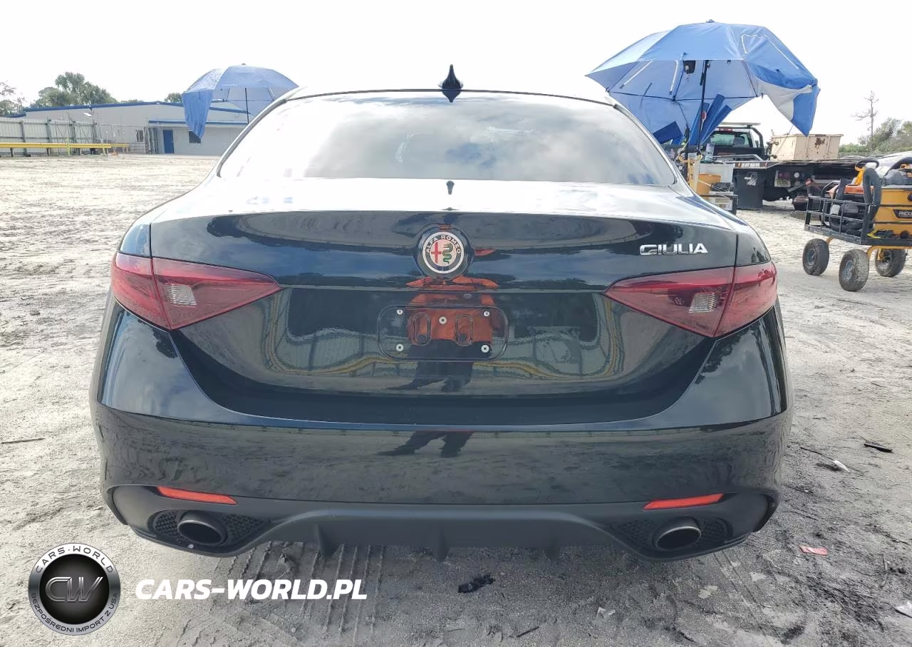 2019 Alfa Romeo Giulia VIN:ZARFAMAN8K7598220 - 6