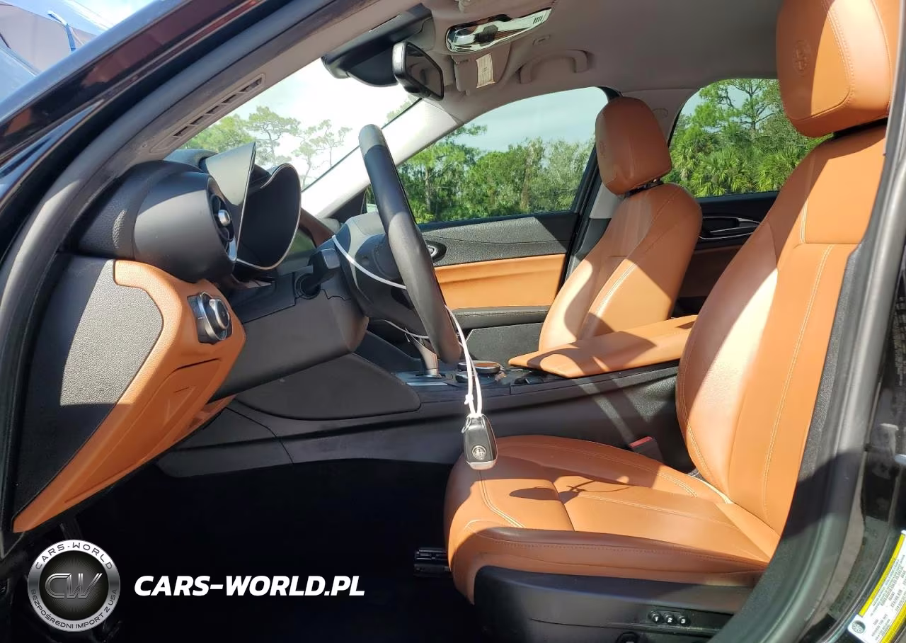 2019 Alfa Romeo Giulia VIN:ZARFAMAN8K7598220 - 7