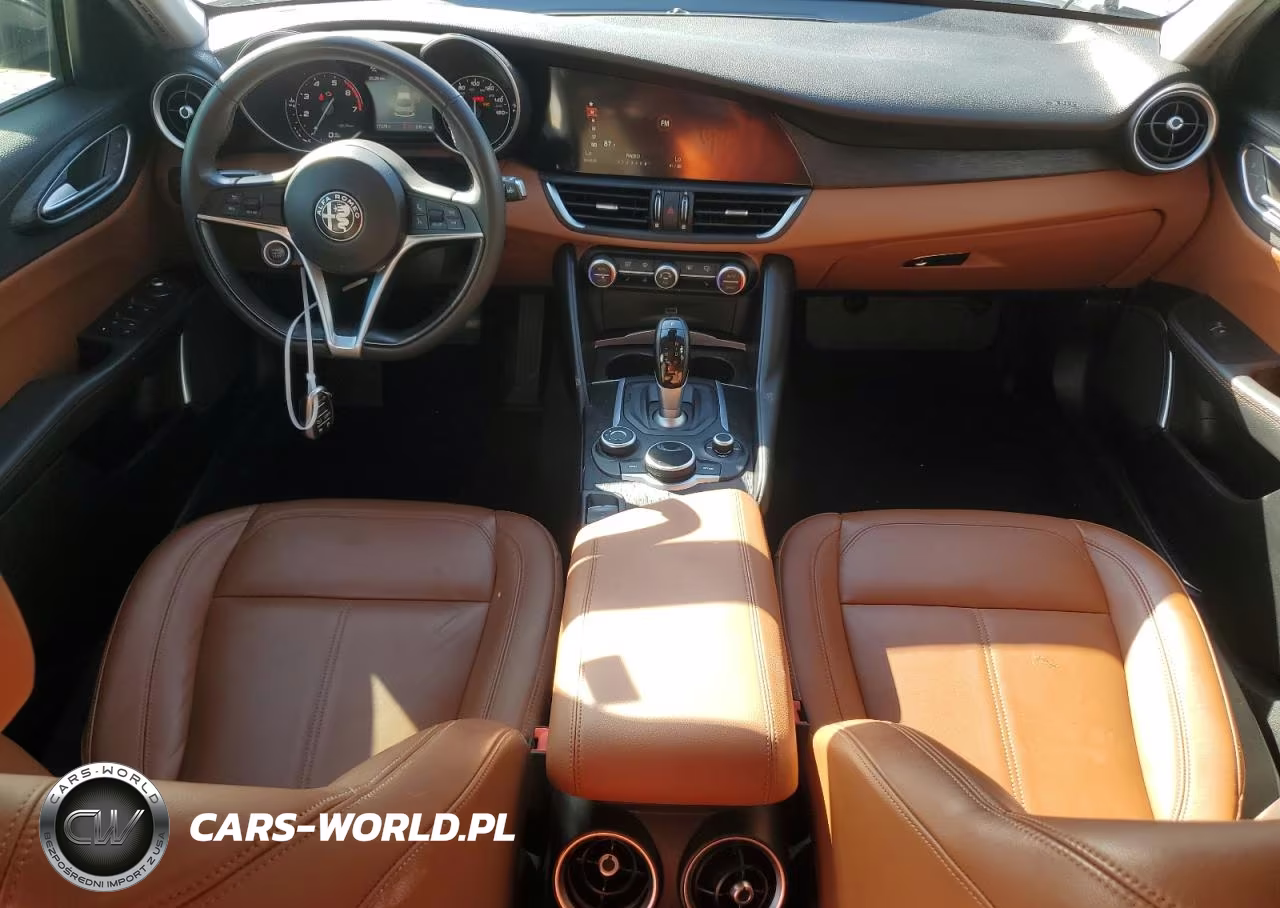 2019 Alfa Romeo Giulia VIN:ZARFAMAN8K7598220 - 8
