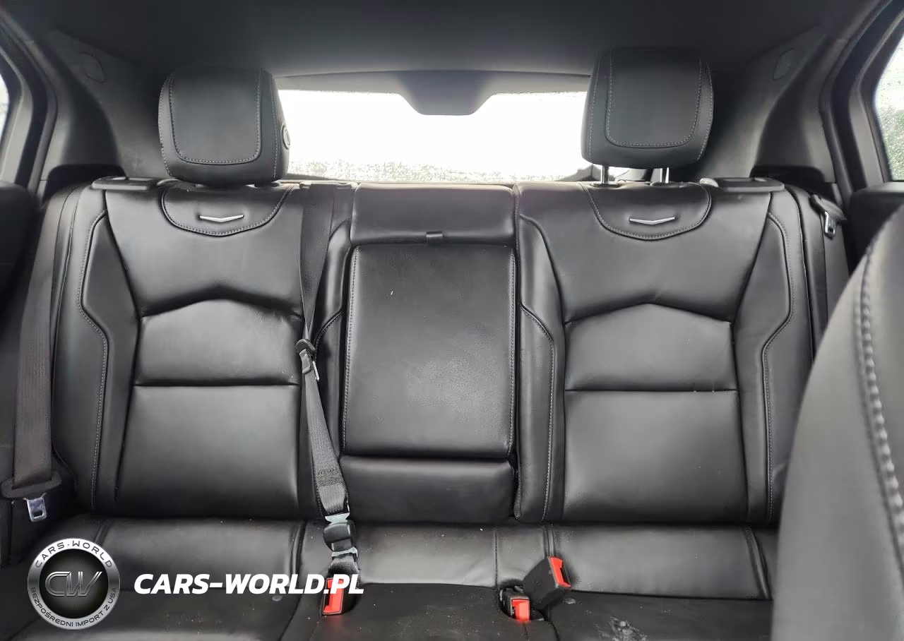 2020 Cadillac Xt4 Premium Luxury VIN:1GYFZCR46LF046578 - 10