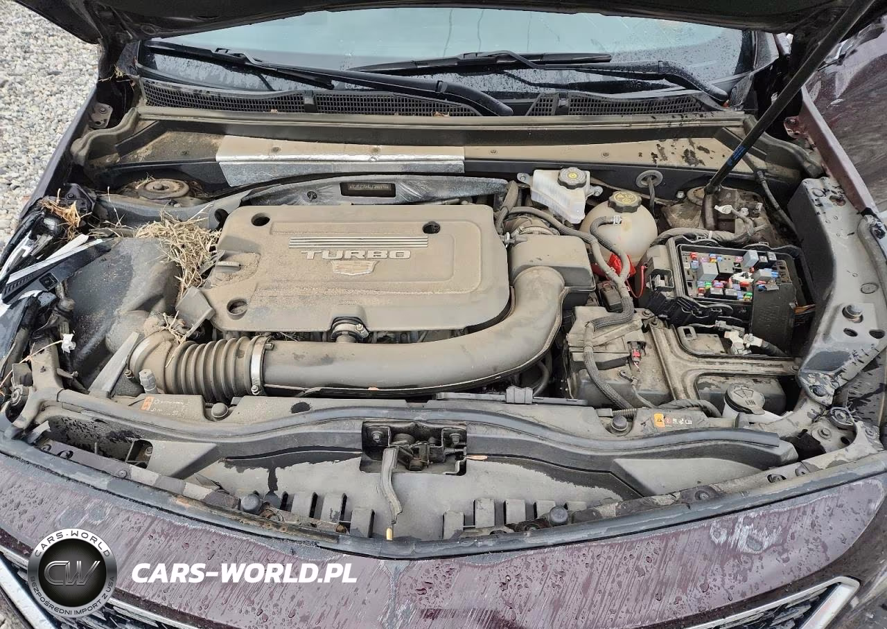 2020 Cadillac Xt4 Premium Luxury VIN:1GYFZCR46LF046578 - 12
