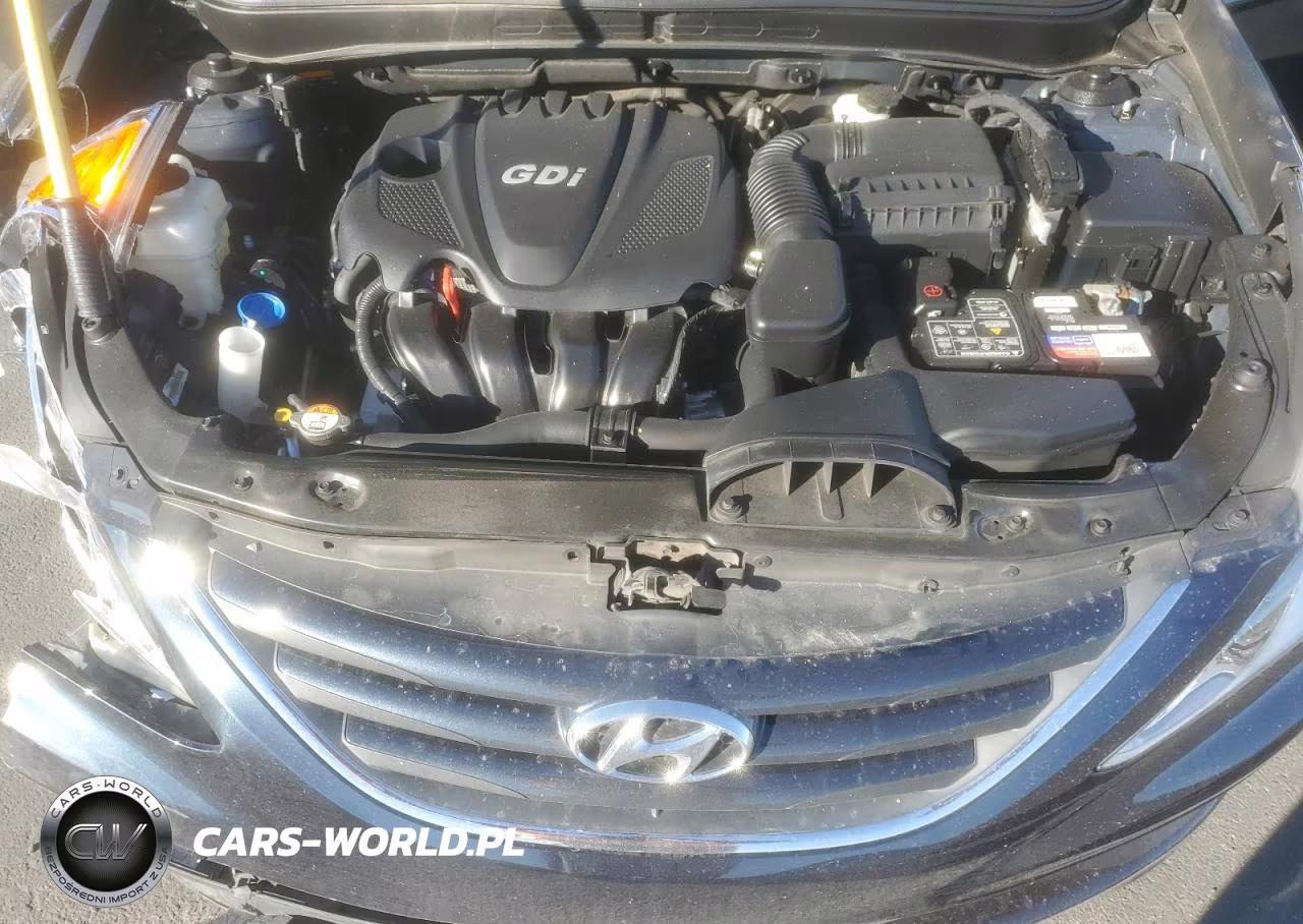 2014 Hyundai Sonata Gls VIN:5NPEB4AC2EH868205 - 11