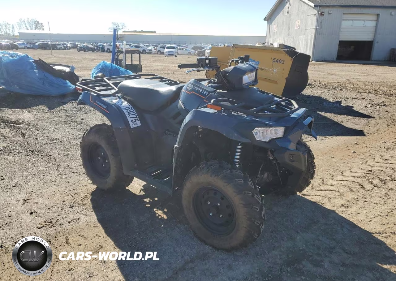 2025 Kawasaki Brute Force 450 Atv
