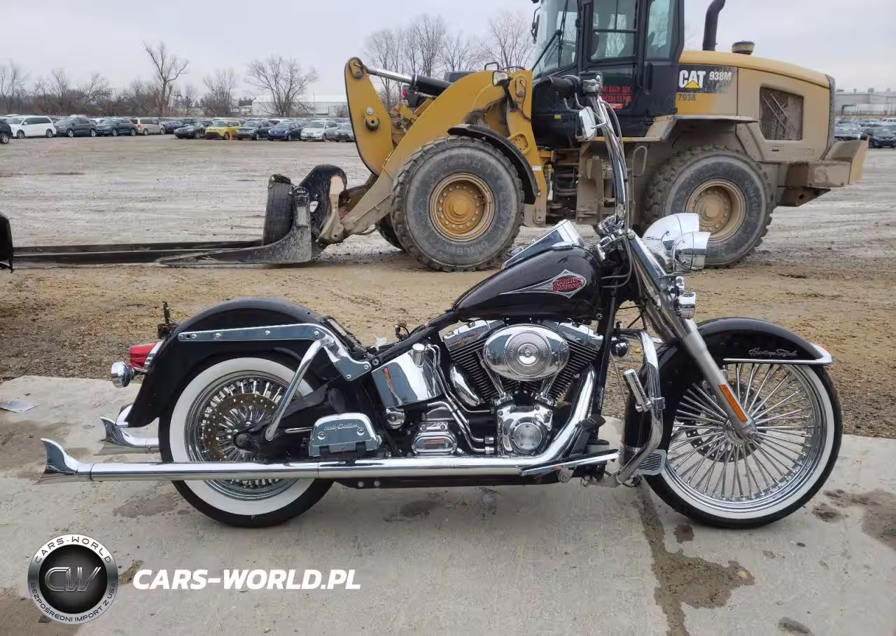 2001 Harley-Davidson Flstci