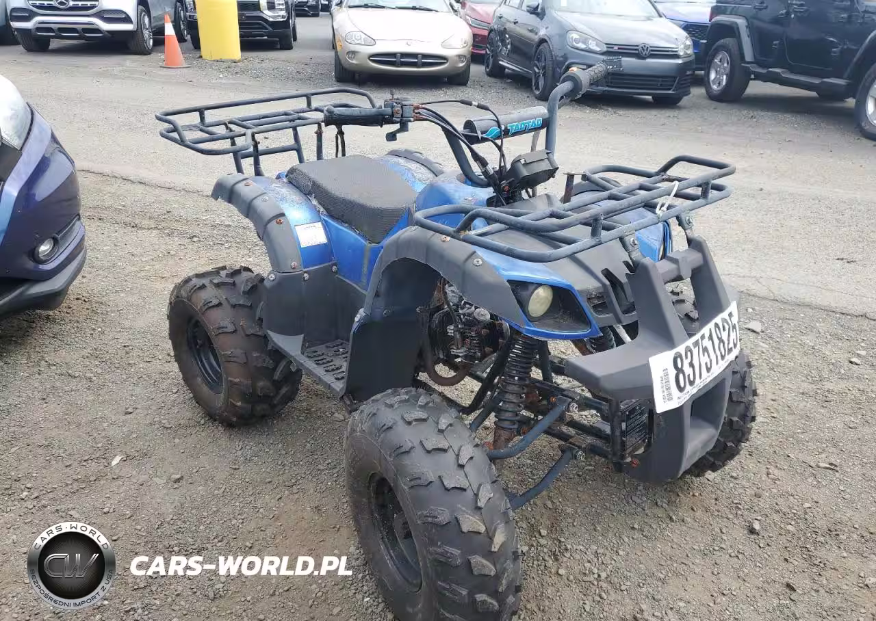 2013 Other Tao Tao Ata 125Cc