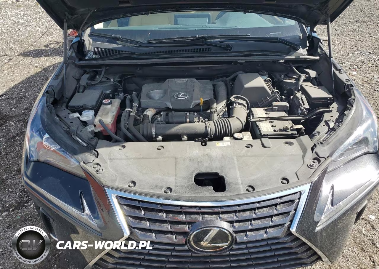 2021 Lexus Nx 300 Base VIN:JTJDARBZ4M2198068 - 12