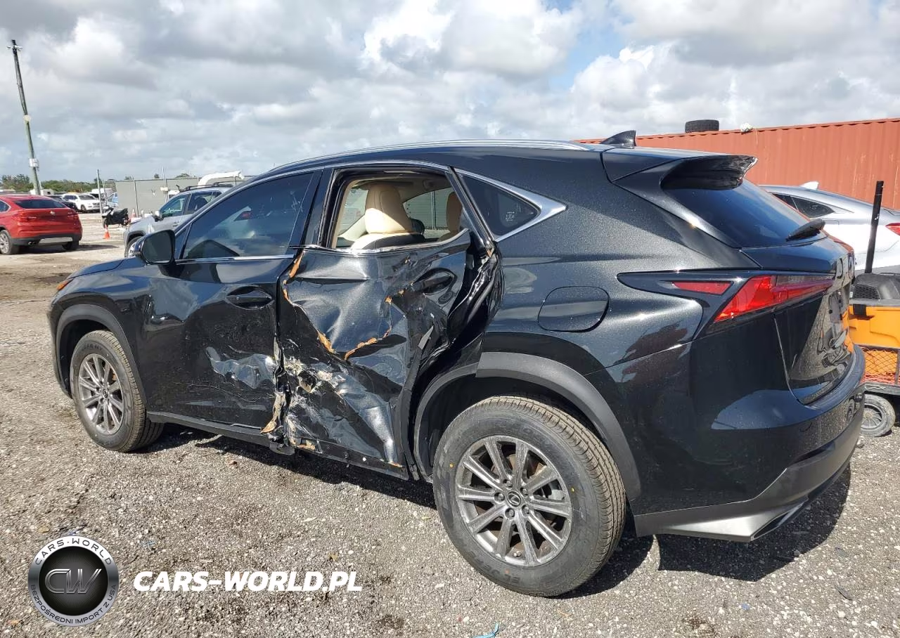 2021 Lexus Nx 300 Base VIN:JTJDARBZ4M2198068 - 2